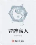 《冒牌高人》小说封面