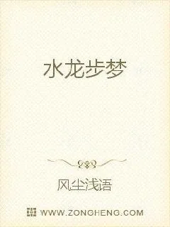 《水龙步梦》小说封面