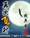 《再次飞升》小说封面