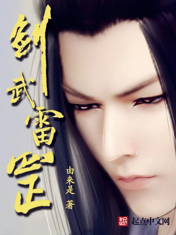 《剑武雷罡》小说封面