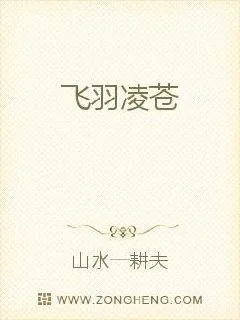 《飞羽凌苍》小说封面