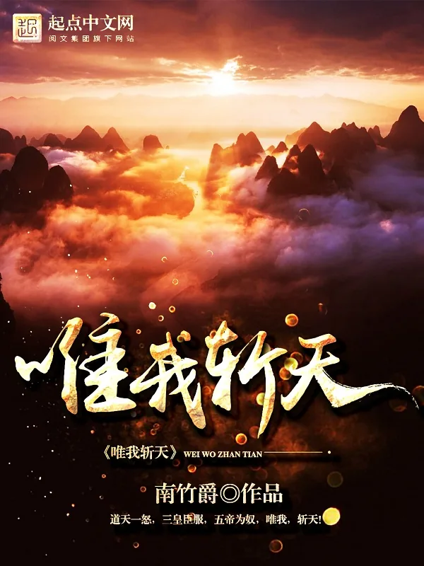 《唯我斩天》小说封面