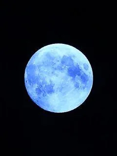《花开守城》小说封面