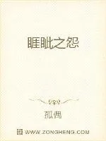《睚眦之怨》小说封面