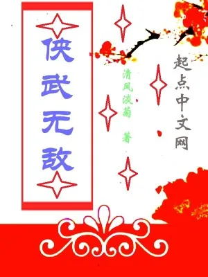 《侠武无敌》小说封面