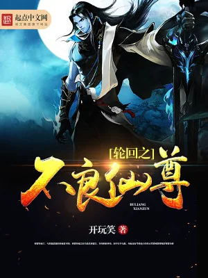 《轮回之不良仙尊》小说封面
