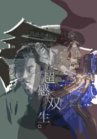 《超感双生》小说封面