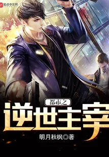 《都市之逆世主宰》小说封面