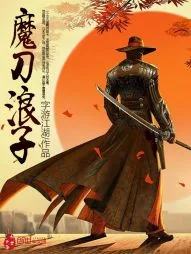 《呆瓜浪子》小说封面