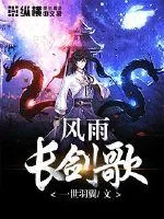《风雨长剑歌》小说封面
