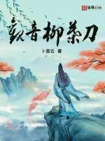 《观音柳叶刀》小说封面