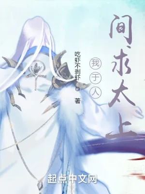 《我于人间求太上》小说封面