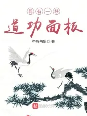 《我有一块道功面板》小说封面