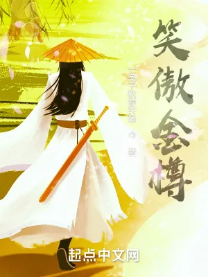 《笑傲金樽》小说封面