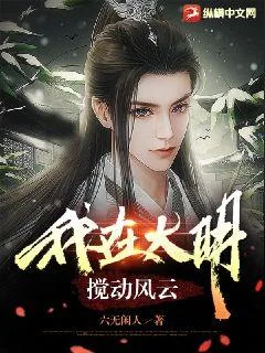 《我在大明搅动风云》小说封面