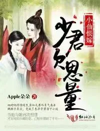 《小仙恨嫁，少君欠思量》小说封面