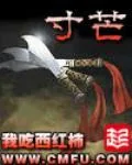 《寸芒》小说封面