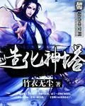 《造化神塔》小说封面