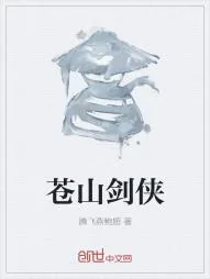 《苍山剑侠》小说封面