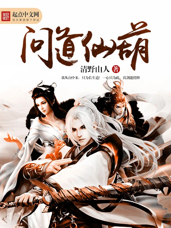 《问道仙葫》小说封面
