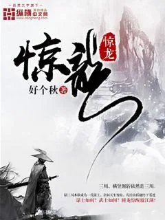 《惊龙》小说封面