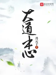 《大道本心》小说封面