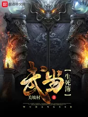 《武当生死簿》小说封面