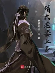 《请大老婆上身》小说封面
