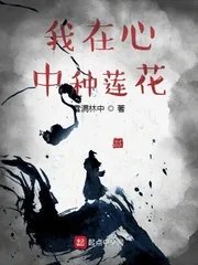 《我在心中种莲花》小说封面