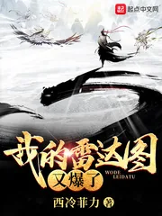 《我的雷达图又爆了》小说封面