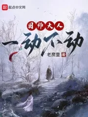 《国师大人一动不动》小说封面