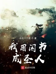 《我用闲书成圣人》小说封面