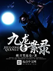 《九龙奇案录》小说封面