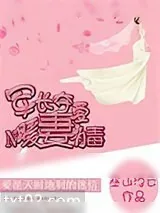 《军长夺爱，暖妻有毒》小说封面