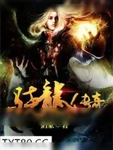 《骁龙传奇》小说封面