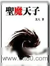《圣魔天子》小说封面