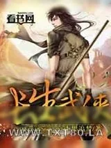 《长生武侠》小说封面