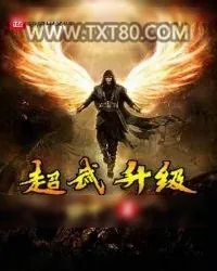 《超武升级》小说封面