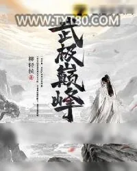 《武极巅峰》小说封面