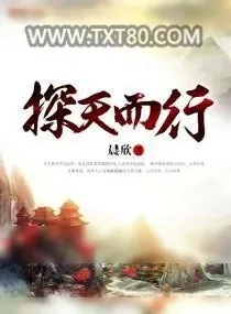 《探天而行》小说封面