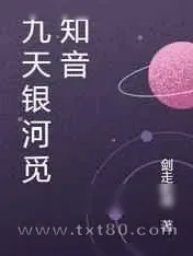 《九天银河觅知音》小说封面