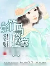 《竹马检察官》小说封面