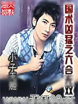 《国术凶猛之六合无双》小说封面
