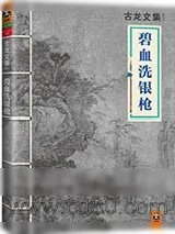 《碧血洗银枪》小说封面