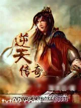 《逆天传奇》小说封面