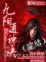 《九阳通神诀》小说封面
