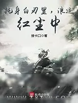 《托身白刃里，浪迹红尘中》小说封面