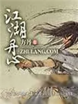 《江湖丹心》小说封面