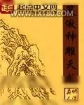 《笑傲神雕天龙》小说封面