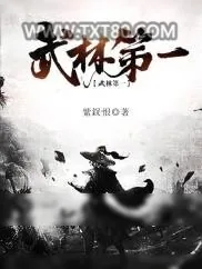 《武林第一》小说封面